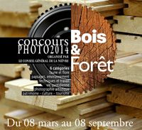 Concours photo Bois et Forêts. Du 8 mars au 8 septembre 2014. 